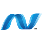 Website Development Services 13 .NET